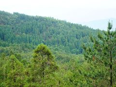 -玉苍山国家森林公园