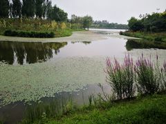 -东郊湿地公园