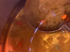 -渔香岛美蛙鱼头火锅(威清路店)