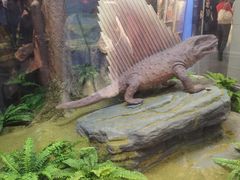 -国家自然博物馆