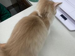 -心仪动物医院·牙专科·肿瘤·心脏科(西客站院)