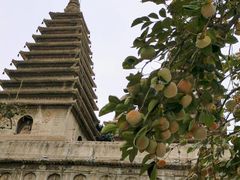 -北京石刻艺术博物馆(五塔寺)