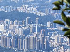 -梧桐山风景名胜区