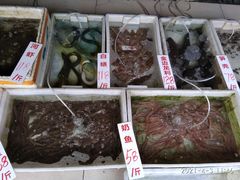-三叔煮意