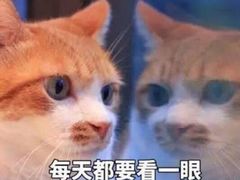 -郑州大学第一附属医院(河医院区)