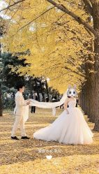 -北遇映画PHOTO GRAPHY STUDIO