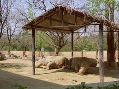 -西安秦岭野生动物园