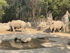 -北京野生动物园