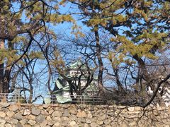 -名古屋城
