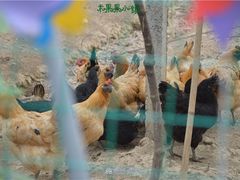 -米果果小镇
