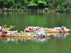 -深圳仙湖植物园