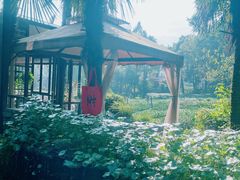 -野蔓果·山野菜(西湖景区·龙井茶田店)