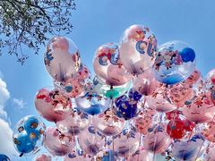 -上海迪士尼度假区