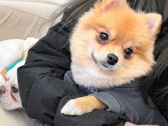 -怪兽屋·羊驼·猫咖·狗咖(俊华广场店)