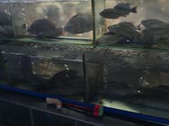 -凤城酒家(环市西路店)