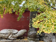 -北京石刻艺术博物馆(五塔寺)