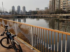 -五里湖湿地公园