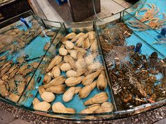 -舌尖上·霞浦滩涂海鲜·新闽菜(总店)