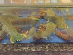 -聚福宝合苑食府(南头镇店)