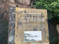 -花岙岛