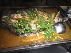 鲜青椒烤鱼-探鱼·鲜青椒爽麻烤鱼(广州花都来又来店)