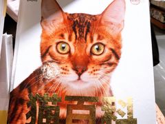-西西弗书店&矢量咖啡(凯德MALL店)