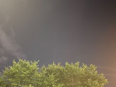 -洋湖国家湿地公园