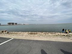 -碧海金沙