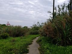 -洋山深水港