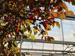 -北京鹫峰国家森林公园