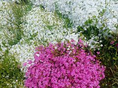 -昆嵛山石门里景区