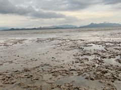 -深圳湾公园(南山区)