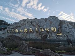 -北京西山国家森林公园