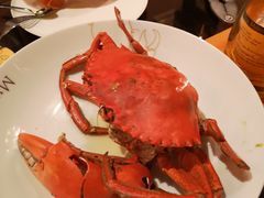 -Ministry of Crab(科伦坡店)