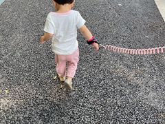 -史努比缤纷世界