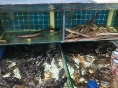 -大锅强·蒸海鲜青岛菜(吾悦广场店)