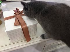 -积慕Cake(解放大道店)