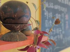 -志龙皇冠吃货椰子铺