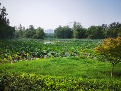 -西安浐灞国家湿地公园