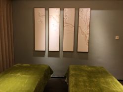 -梵隐SPA