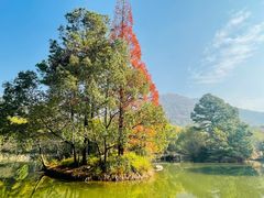 -宝岩生态观光园