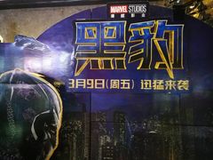 -武商摩尔影城(国广IMAX激光店)