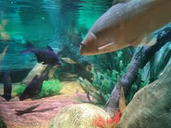 -沈阳海洋探索中心