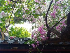 -深圳国际园林花卉博览园