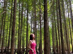 -桤木河湿地公园