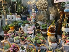 -循礼门鲜花花市(武汉循礼门店)