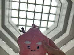 -汕头市博物馆