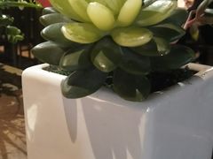 -龙门烤鱼(东方宝泰店)
