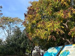 -长椿街(地铁站)