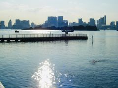 -台场海滨公园船码头